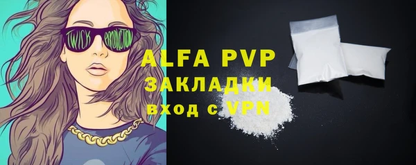 индика Богданович