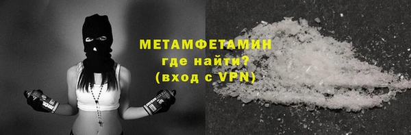 индика Богданович