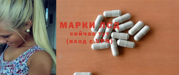 PSILOCYBIN Богородицк