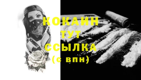 спиды Богородск