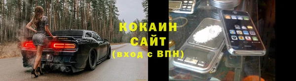 PSILOCYBIN Богородицк