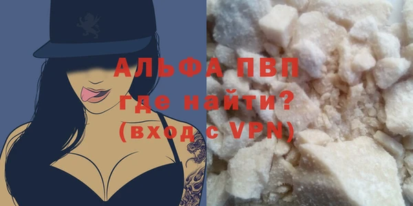 индика Богданович