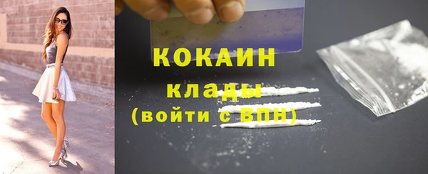 индика Богданович