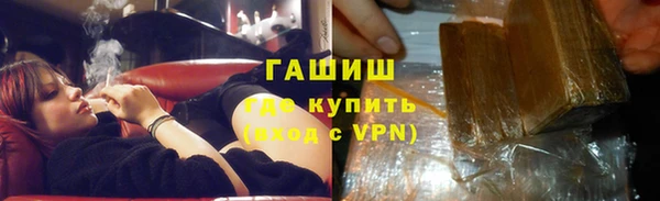 индика Богданович