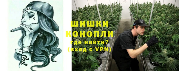 PSILOCYBIN Богородицк