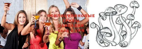 спиды Богородск