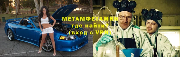 индика Богданович
