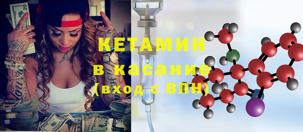 индика Богданович