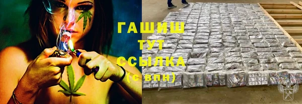 PSILOCYBIN Богородицк
