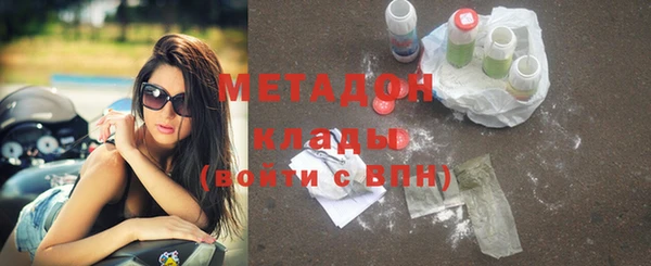 индика Богданович
