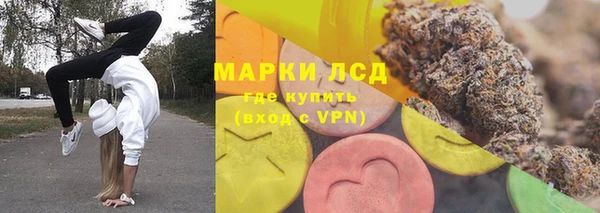 PSILOCYBIN Богородицк