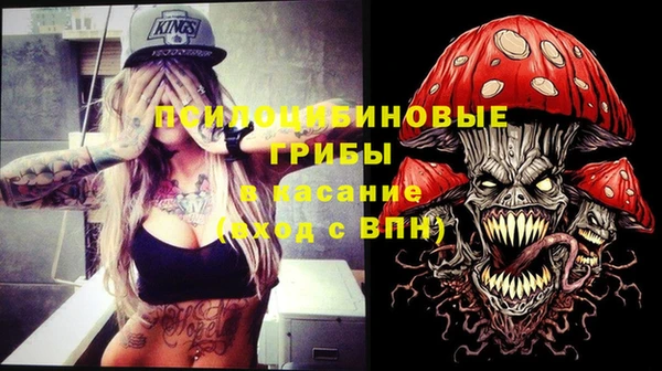 индика Богданович