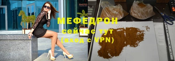 индика Богданович